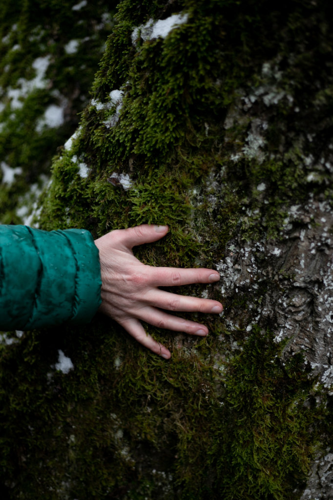 Eine Hand berührt den Baum den er für die Fällung ausgewählt hat