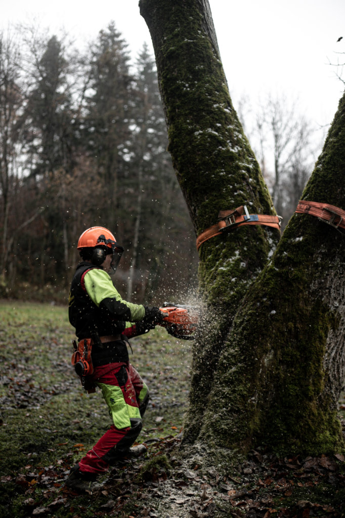 EIn Mann mit Motorsäge beginnt einen Baum zu fällen