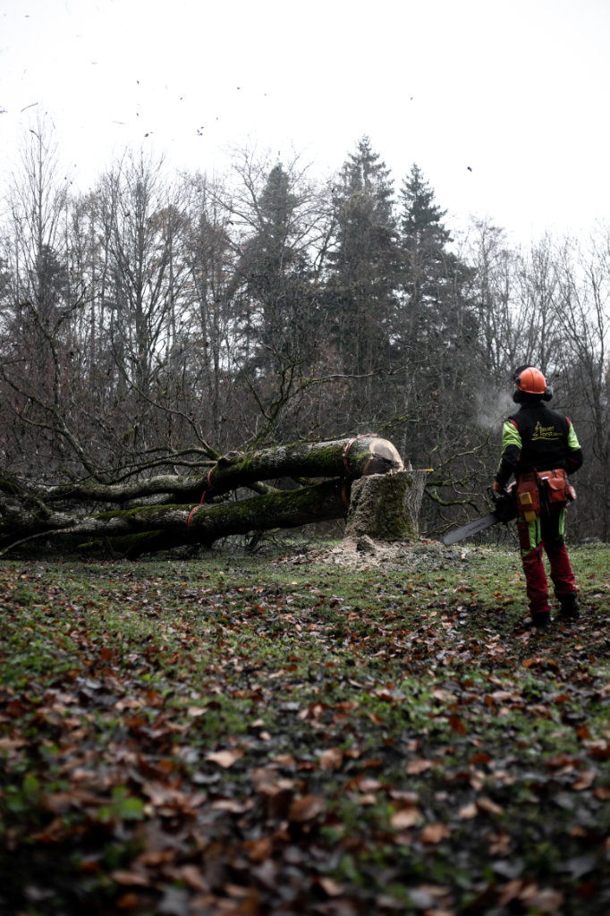 Ein Mann steht vor dem von ihm gefällten Baum