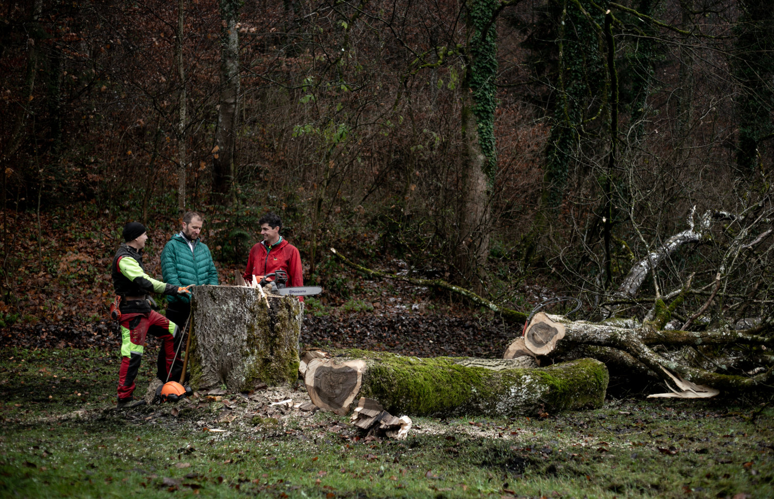 Drei Personen stehen am Baumstumpf des gefällten Baums und reden